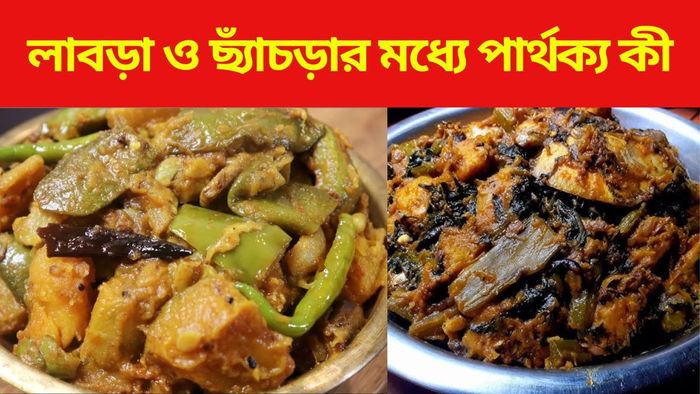 লাবড়া-ছ্যাঁচড়া