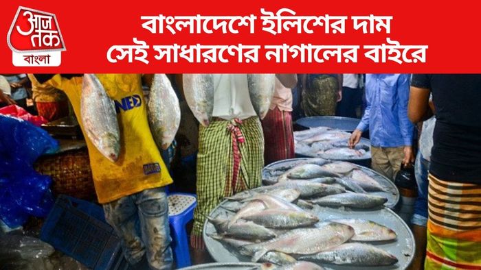 বাংলাদেশে ইলিশের দাম সেই সাধারণের নাগালের বাইরে