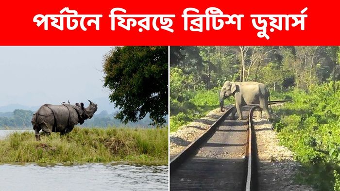 সুখবর, পর্যটনে ফিরতে চলেছে ব্রিটিশ ডুয়ার্স, উত্তরবঙ্গের সঙ্গে জুড়ছে অসম