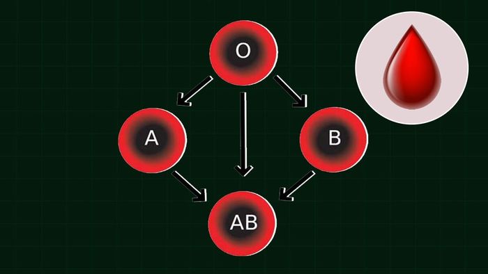 প্রতীকী ছবি