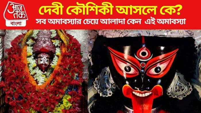 দেবী কৌশিকী আসলে কে?