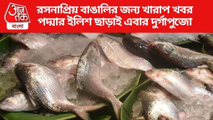 পদ্মার ইলিশ ছাড়াই এবার দুর্গাপুজো