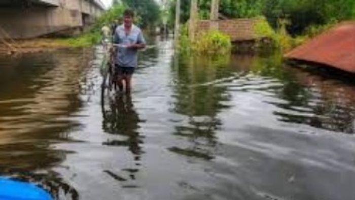 ফাইল চিত্র।