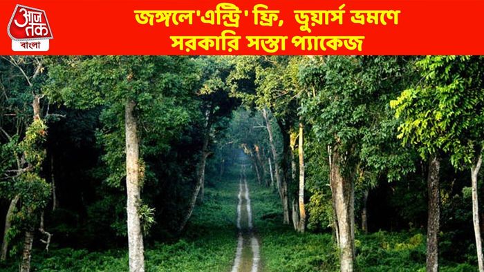 পুজোয় ডুয়ার্স বেড়ানোয় স্পেশাল স্কিম রাজ্যের, এই প্যাকেজে জঙ্গলে 'এন্ট্রি' ফ্রি
