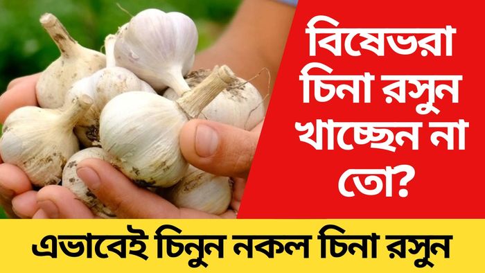 বাজার ছেয়েছে চিনা নকল রসুনে, ভারতীয় রসুনের সঙ্গে পার্থক্য কী?
