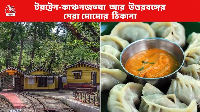 উত্তরবঙ্গে সেরা মোমো কোথায় কোথায় পাবেন? টয়ট্রেন-আর কাঞ্চনজঙ্ঘার স্পেশাল কম্বোও