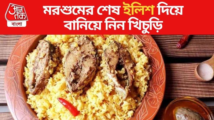 ইলিশ খিচুড়ি