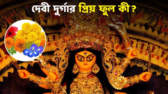 দুর্গা পুজো ২০২৪