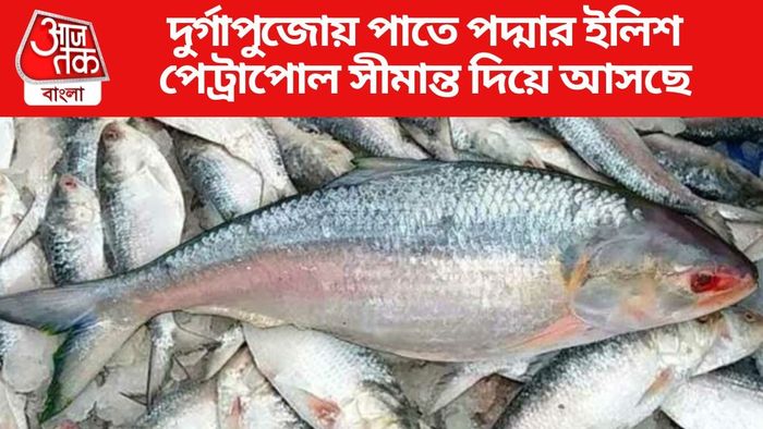 বাংলাদেশ থেকে আসছে ৩ হাজার টন মাছ