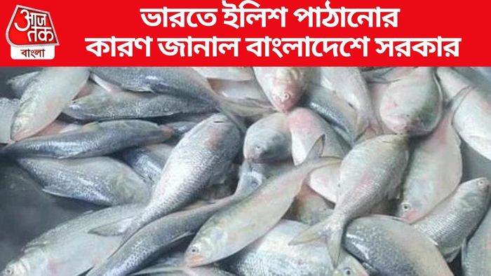 ভারতে ইলিশ পাঠানোর কারণ জানাল বাংলাদেশে সরকার