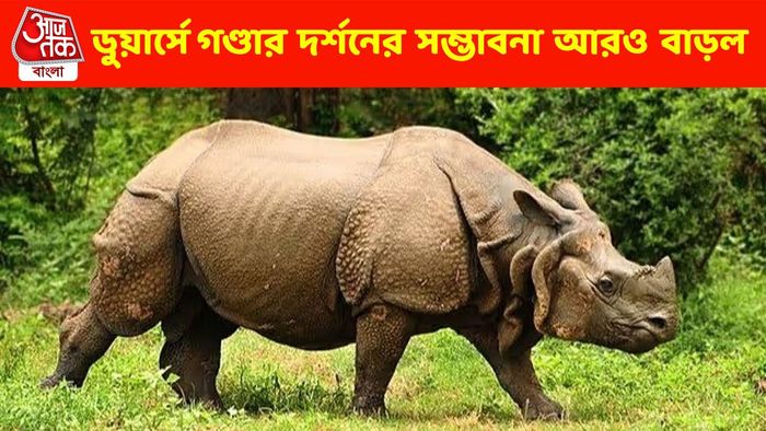 ডুয়ার্সে গণ্ডার দর্শনের সম্ভাবনা আরও বাড়ল, একশৃঙ্গের সংখ্যা বৃদ্ধি