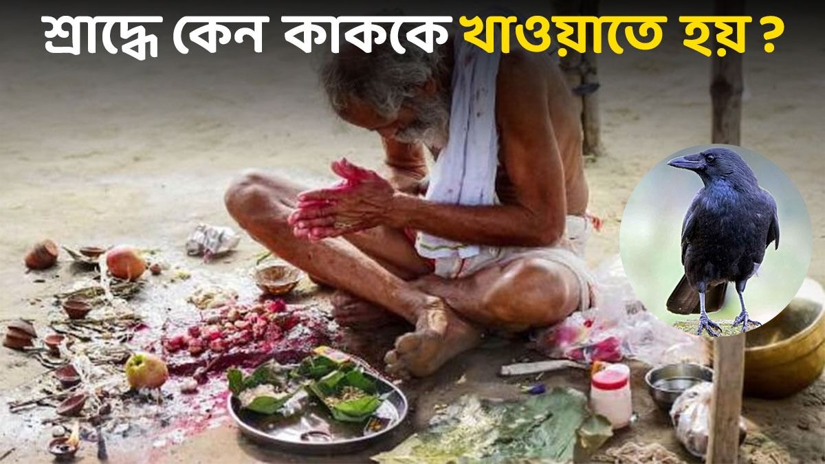 শ্রাদ্ধে কেন কাককে খাওয়ানো বাধ্যতামূলক? জেনে নিন পুরাণের ব্যাখ্যা 
