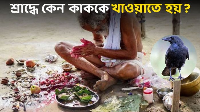শ্রাদ্ধে কাককে খাওয়ানো রীতি