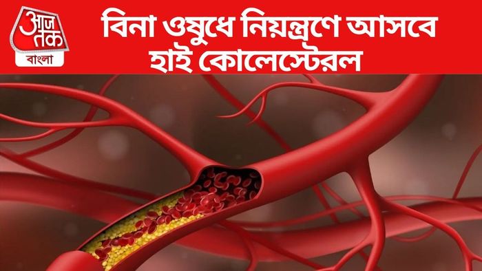 কোলেস্টেরল নিয়ন্ত্রণ