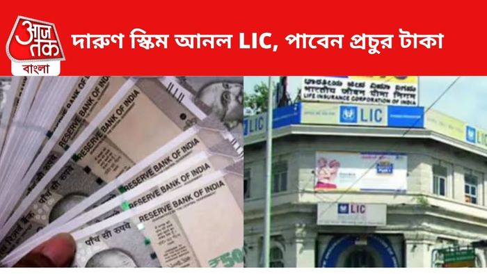 দারুণ স্কিম আনল এলআইসি।