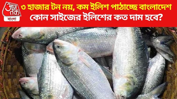 ইলিশ মাছ