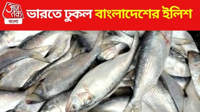 ভারতে ঢুকল ইলিশ