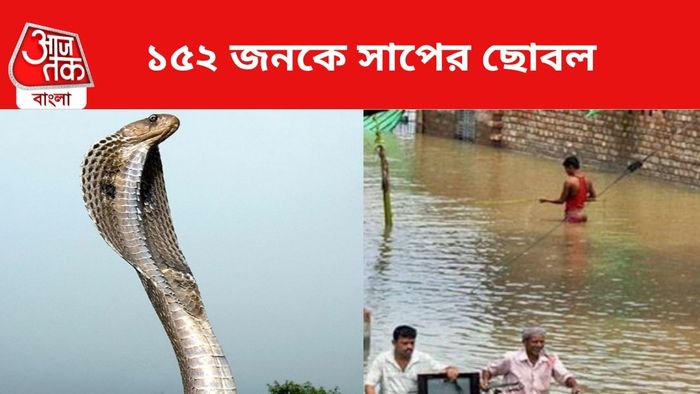 ১৫২ জনকে সাপের ছোবল।