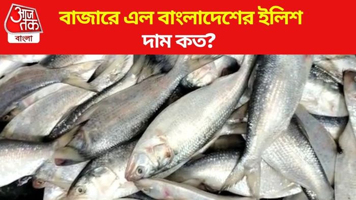 ইলিশ এল বাংলায়