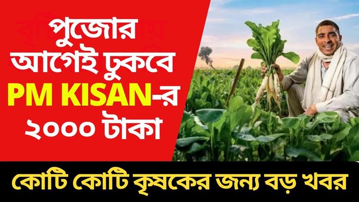 পিএম কিষাণের ২০০০ টাকা কবে ঢুকবে? এই কৃষকরা টাকা পাবেন না