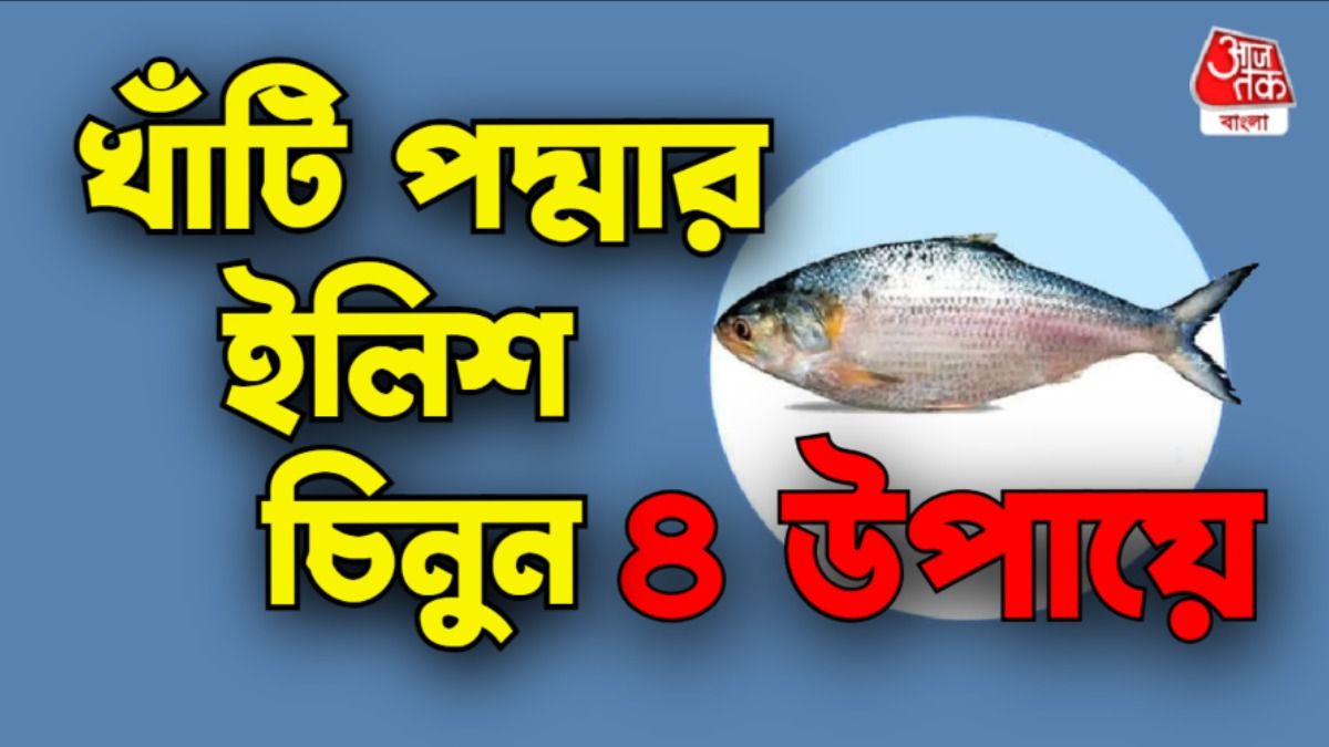 ইলিশ চেনার টিপস