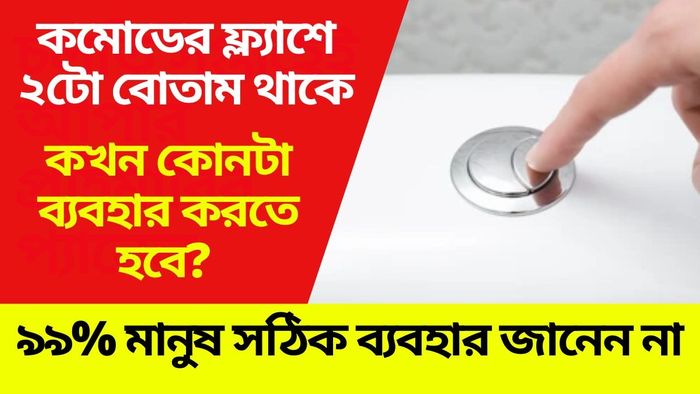কমোডের ফ্ল্যাশে ২টো বোতাম থাকে, কোনটার কী কাজ জানেন?