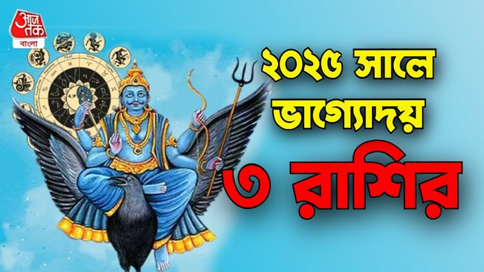 শনির রাশিফল ২০২৪