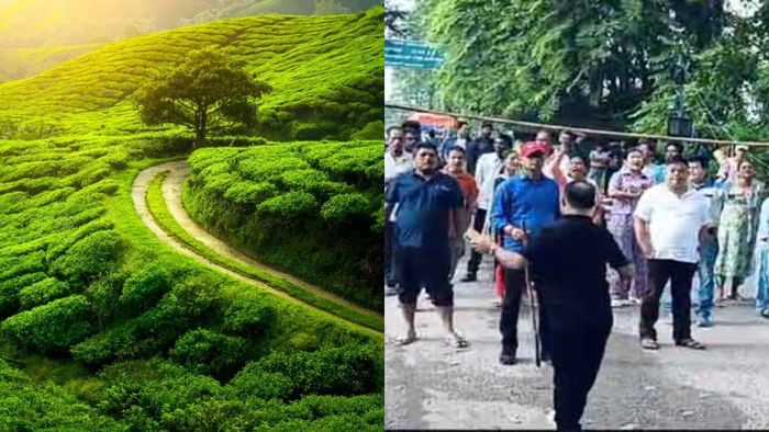 পাহাড়ে আজ চা শ্রমিকদের বনধ