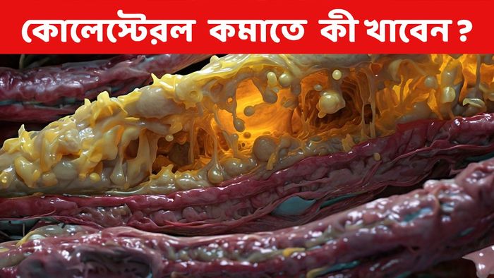 প্রতীকী ছবি