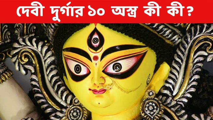 দেবীর দুর্গা