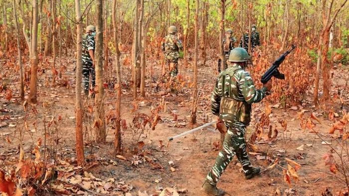 বস্তারের প্রতীকী ছবি
