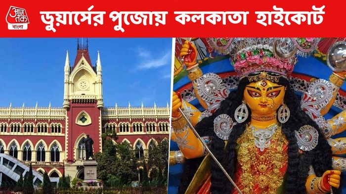 কলকাতা হাইকোর্ট এবার ডুয়ার্সে, পুজোর আগেই হিট আলিপুরদুয়ারের এই মণ্ডপ