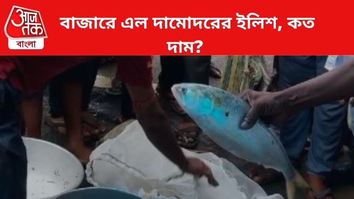 বাজারে এল ১ কেজি ইলিশ।
