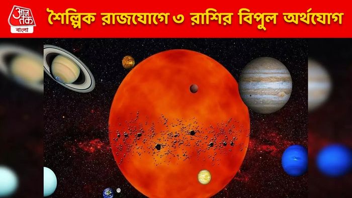 শৈল্পিকযোগে ৩ রাশির সুসময়, পুজোর মরশুমে মানিব্যাগ ভরা থাকবে টাকায়