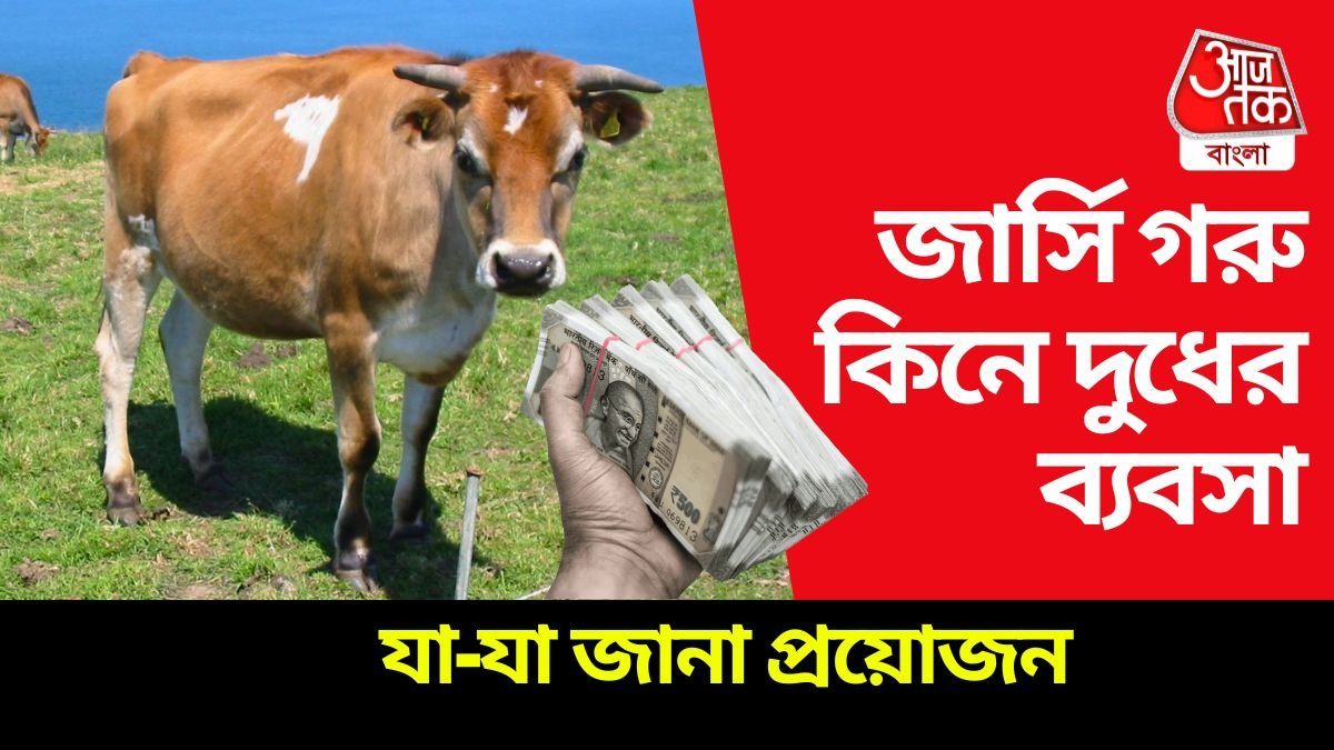 জার্সি গোরু পুষে লাখ টাকা ইনকাম! চাকরির মায়া ছেড়ে আজই নেমে পড়ুন