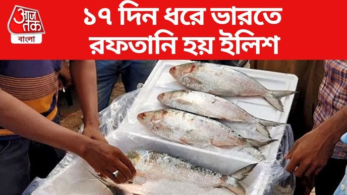 ১৭ দিন ধরে ভারতে রফতানি হয় ইলিশ