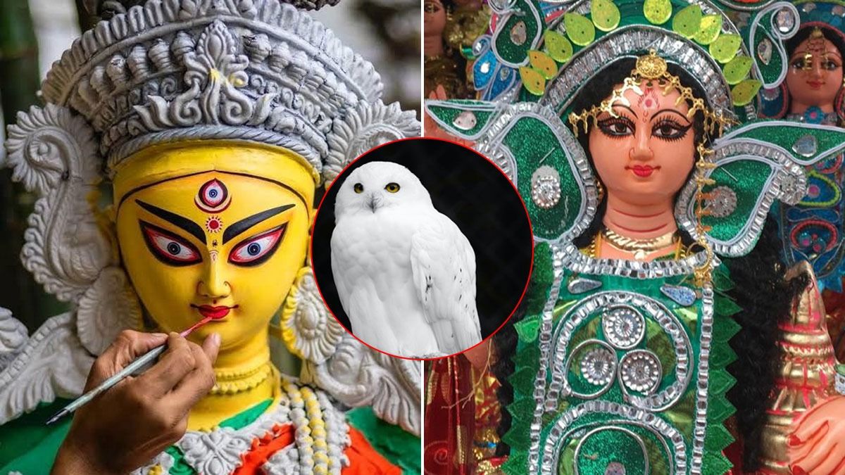 Piss boyalgan mushuk porno Rossiya televideniesida erotik korsatuvlar