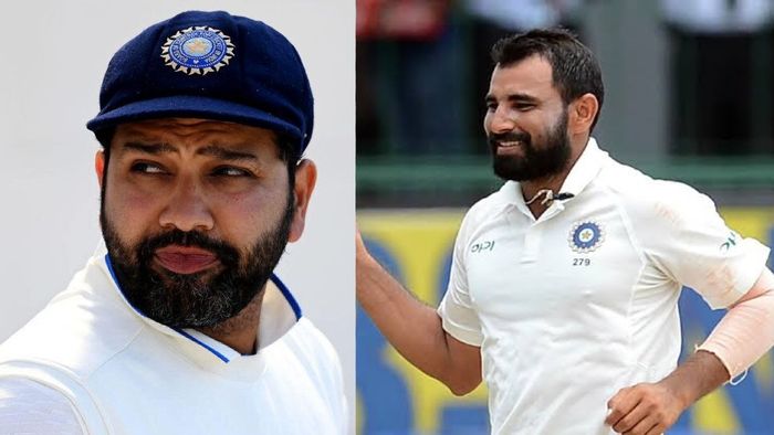 Rohit Sharma, Mohammed Shami