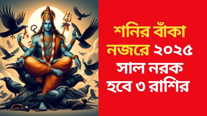 শনির গোচর