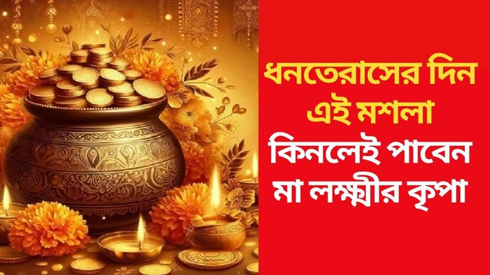 ধনতেরাস ২০২৪