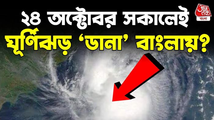 ঘূর্ণিঝড় ডানা