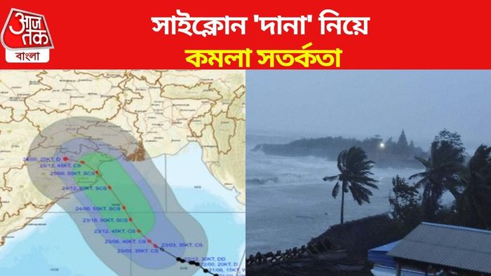 দানা আপডেট