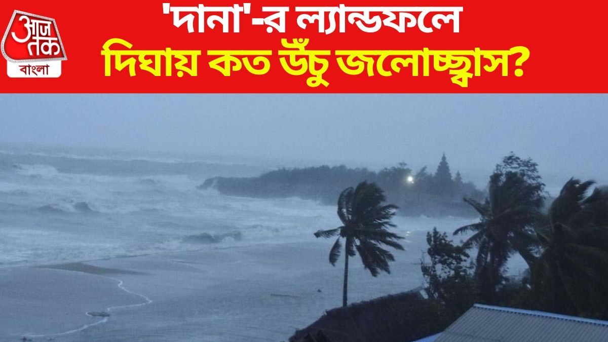 দানা-র আপডেট