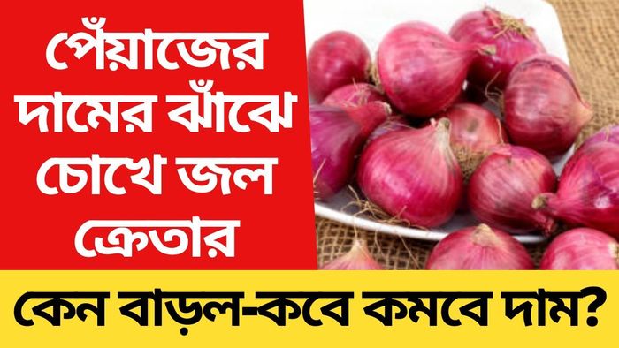পেঁয়াজের দাম কবে কমবে? এতটা বাড়লই বা কী করে? খোঁজ নিল bangla.aajtak.in