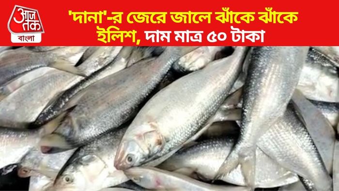 ইলিশের দাম