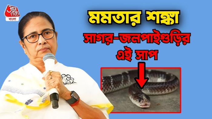 মমতা বন্দ্যোপাধ্যায়