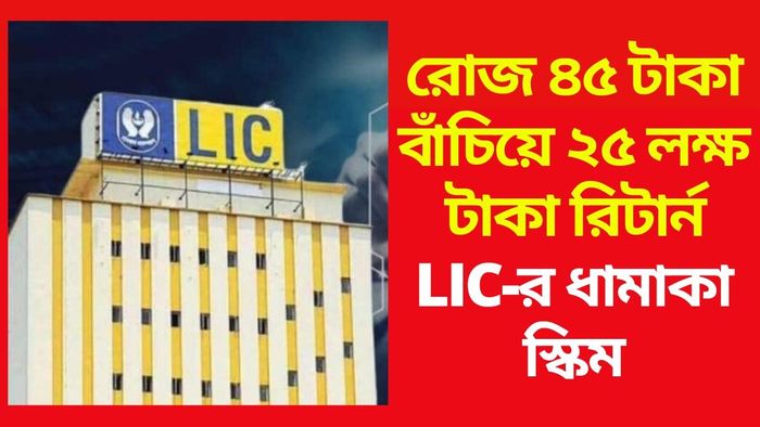LIC-স্কিম