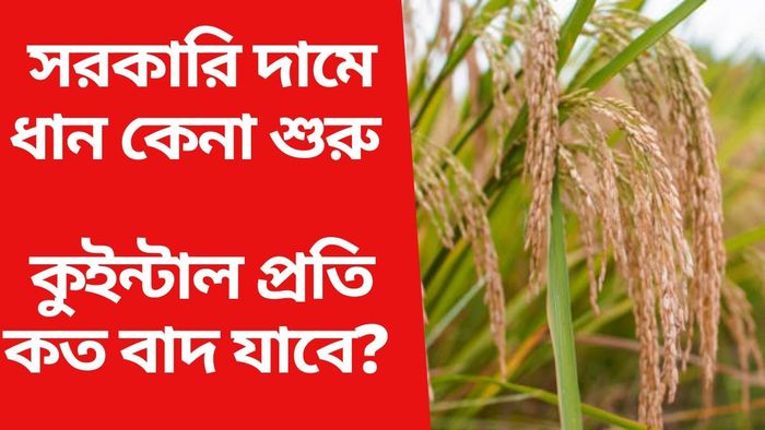 কী রকম ধান বিক্রি করলে কুইন্টালে ২৩২০ টাকা দাম পাবেন? জানাল সরকার