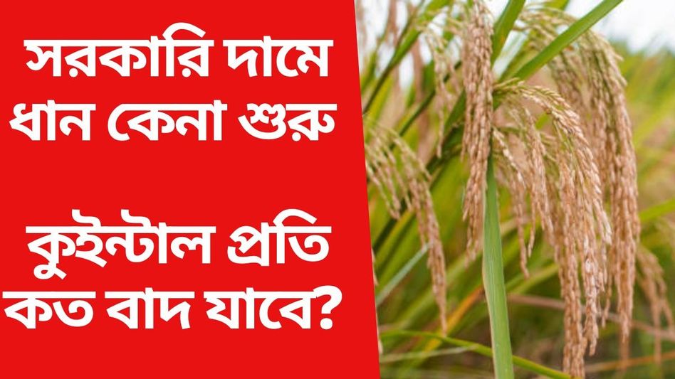 কী রকম ধান বিক্রি করলে কুইন্টালে ২৩২০ টাকা দাম পাবেন? জানাল সরকার কী রকম ধান বিক্রি করলে কুইন্টালে ২৩২০ টাকা দাম পাবেন? জানাল সরকার
