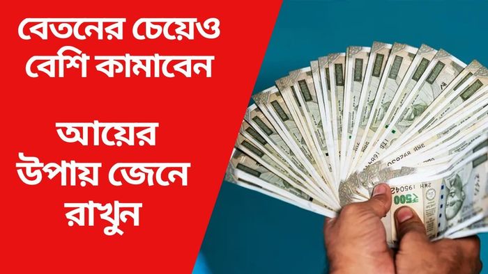 বেতনের চেয়েও বেশি কামাবেন